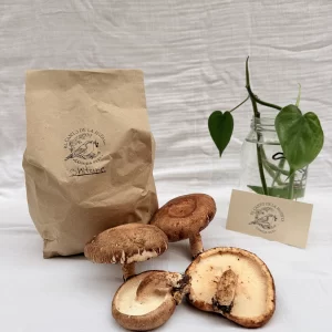 Shitake x Ud ( 250 g )