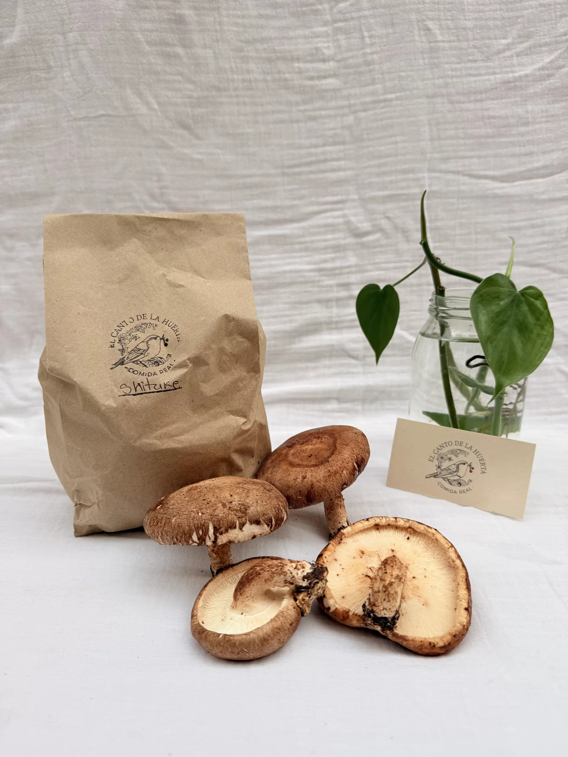 Shitake x Ud ( 250 g )