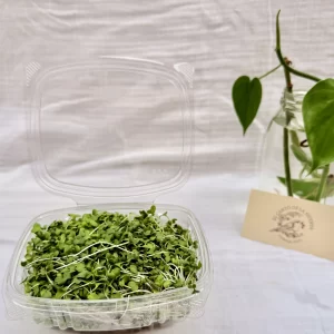 Mix de brotes x ud ( 30 g )